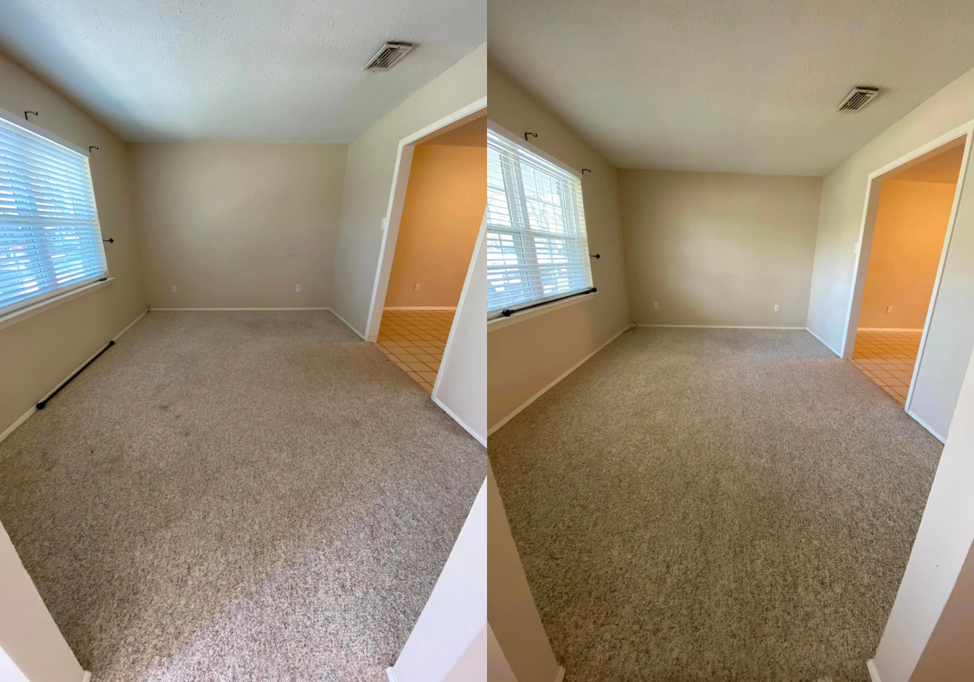 Carpet shampooing and pet odor treatment